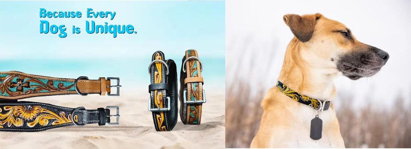 Majestic Ally Leather Dog Collar with Adjustable, Padded Fit for Walking, Hiking, and Running, Designer Western Wear for Puppies, Fancy Colors