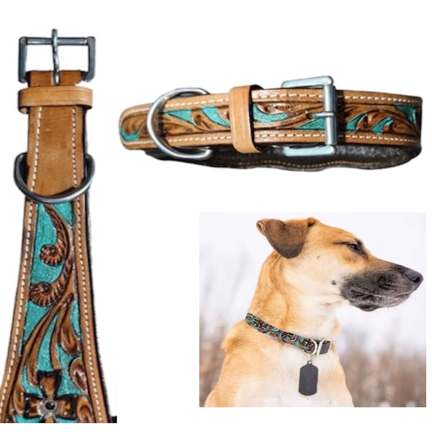 Majestic Ally Leather Dog Collar with Adjustable, Padded Fit for Walking, Hiking, and Running, Designer Western Wear for Puppies, Fancy Colors