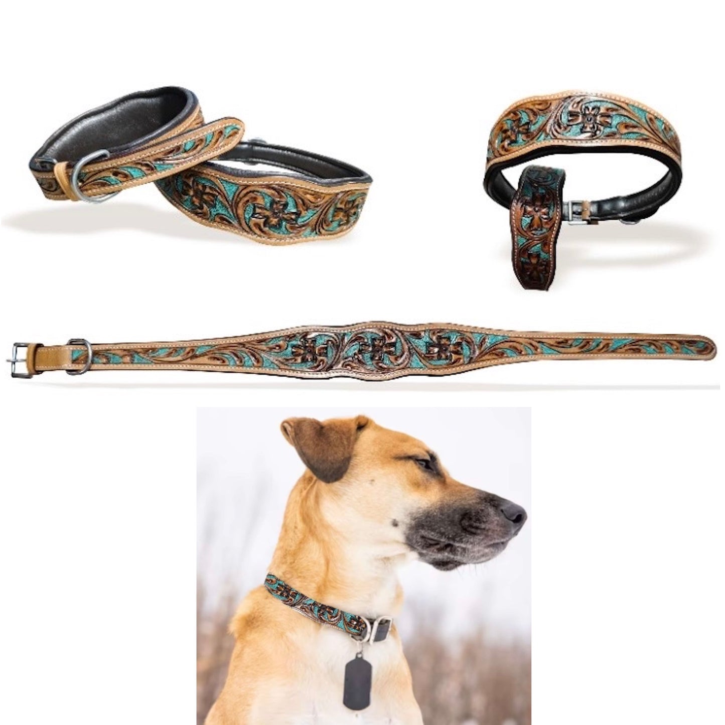 Majestic Ally Leather Dog Collar with Adjustable, Padded Fit for Walking, Hiking, and Running, Designer Western Wear for Puppies, Fancy Colors