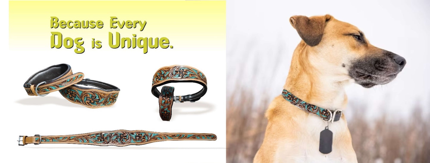 Majestic Ally Leather Dog Collar with Adjustable, Padded Fit for Walking, Hiking, and Running, Designer Western Wear for Puppies, Fancy Colors