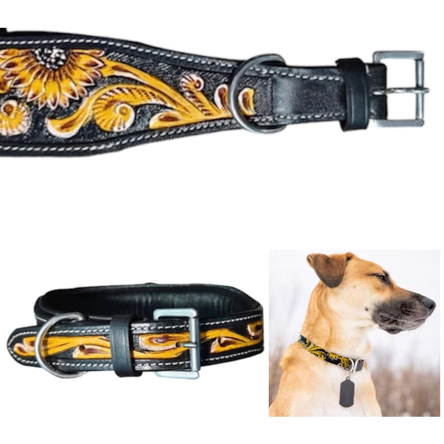 Majestic Ally Genine Leather Dog Collar with Adjustable, Padded Fit for Walking, Hiking, and Running, Designer Western Wear for Puppies, Fancy Customized Colors