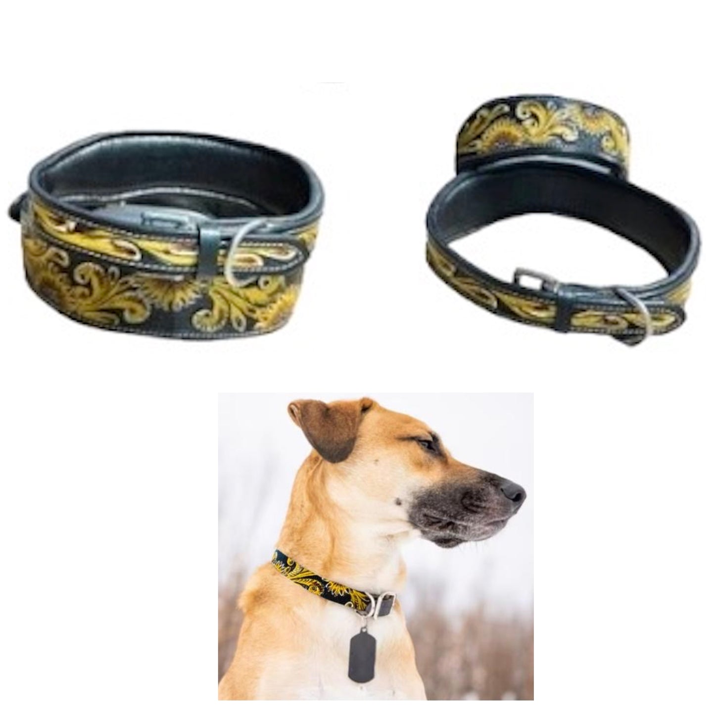 Majestic Ally Genine Leather Dog Collar with Adjustable, Padded Fit for Walking, Hiking, and Running, Designer Western Wear for Puppies, Fancy Customized Colors