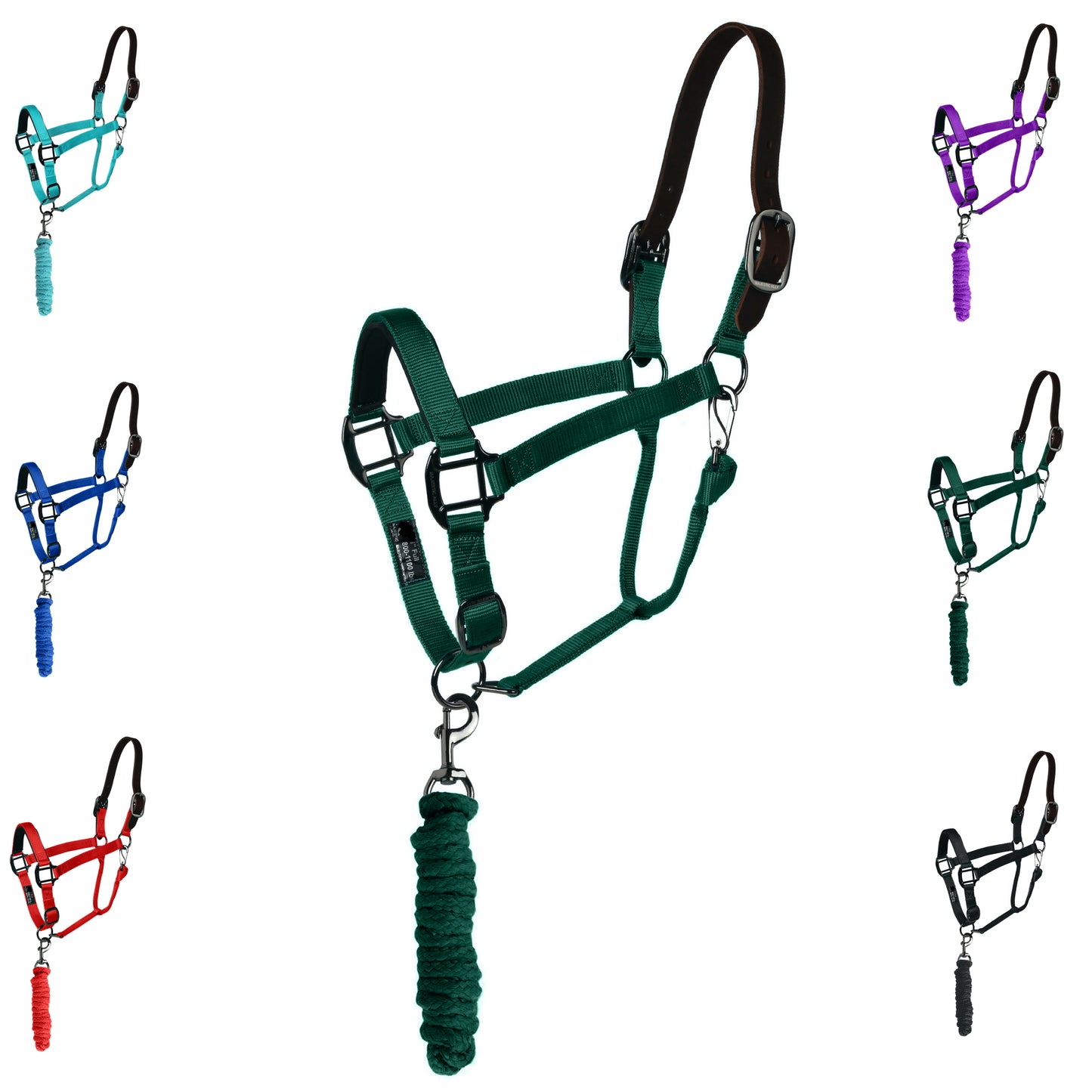 Majestic Ally Leather Halter with Matching Lead Rope for Horses – Leather Breakaway Crown - Adjustable Chin Strap – Rolled Throat Latch – Padded Noseband – Full