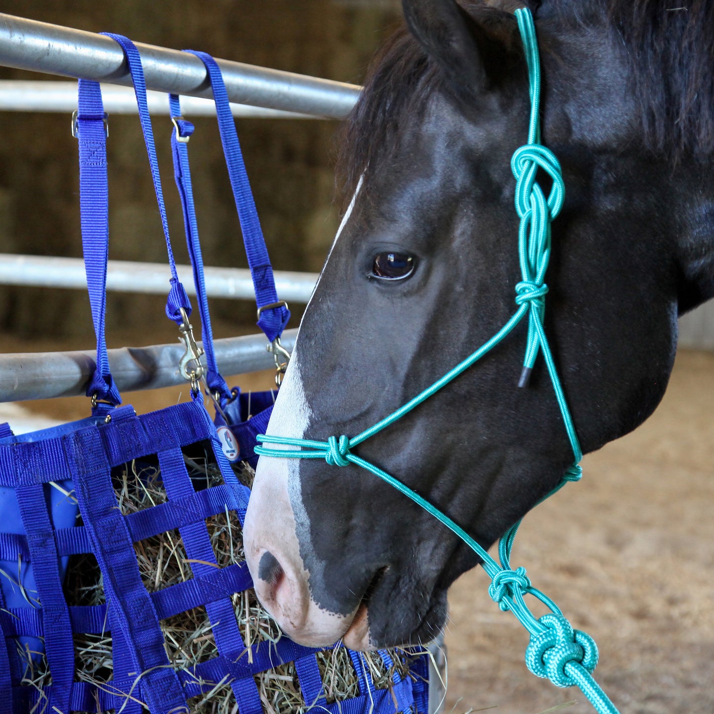 Majestic Ally Horse Halter with Lead Rope – 1/4" Rope 4 Knot Stiff Polyester Training Halter with 10’ Matching Lead for Horses – Full Size