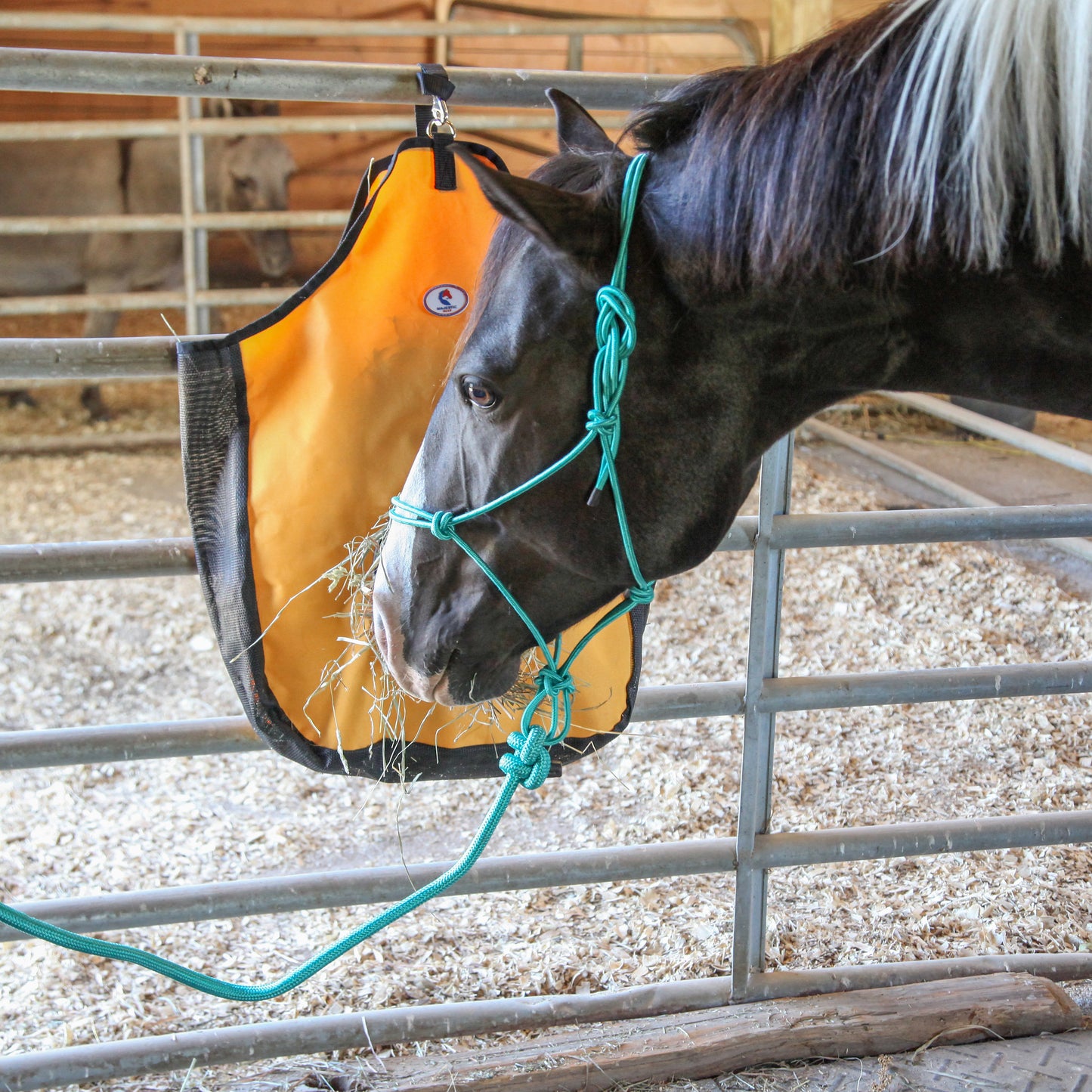 Majestic Ally Horse Halter with Lead Rope – 1/4" Rope 4 Knot Stiff Polyester Training Halter with 10’ Matching Lead for Horses – Full Size