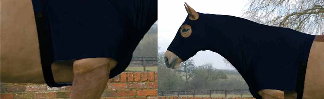 Unveiling the Benefits of Buying a Lycra Horse Hood: A Must-Have for Every Equestrian