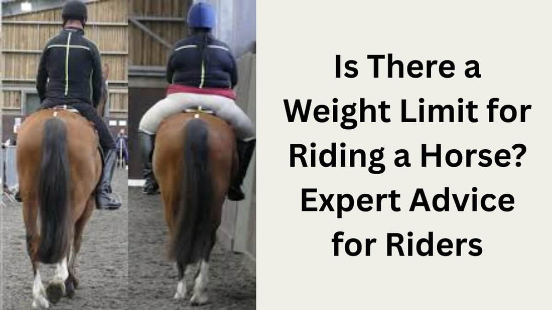 Is There a Weight Limit for Riding a Horse