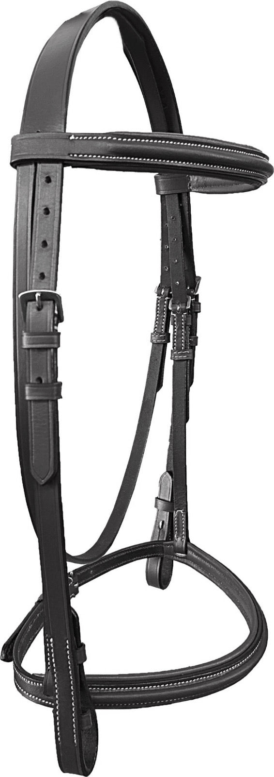 Majestic Ally Padded Raised English Bridle, Premium Leather, Matching Laced Reins