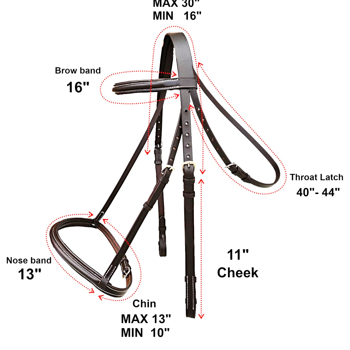 Majestic Ally Padded Raised English Bridle, Premium Leather, Matching Laced Reins
