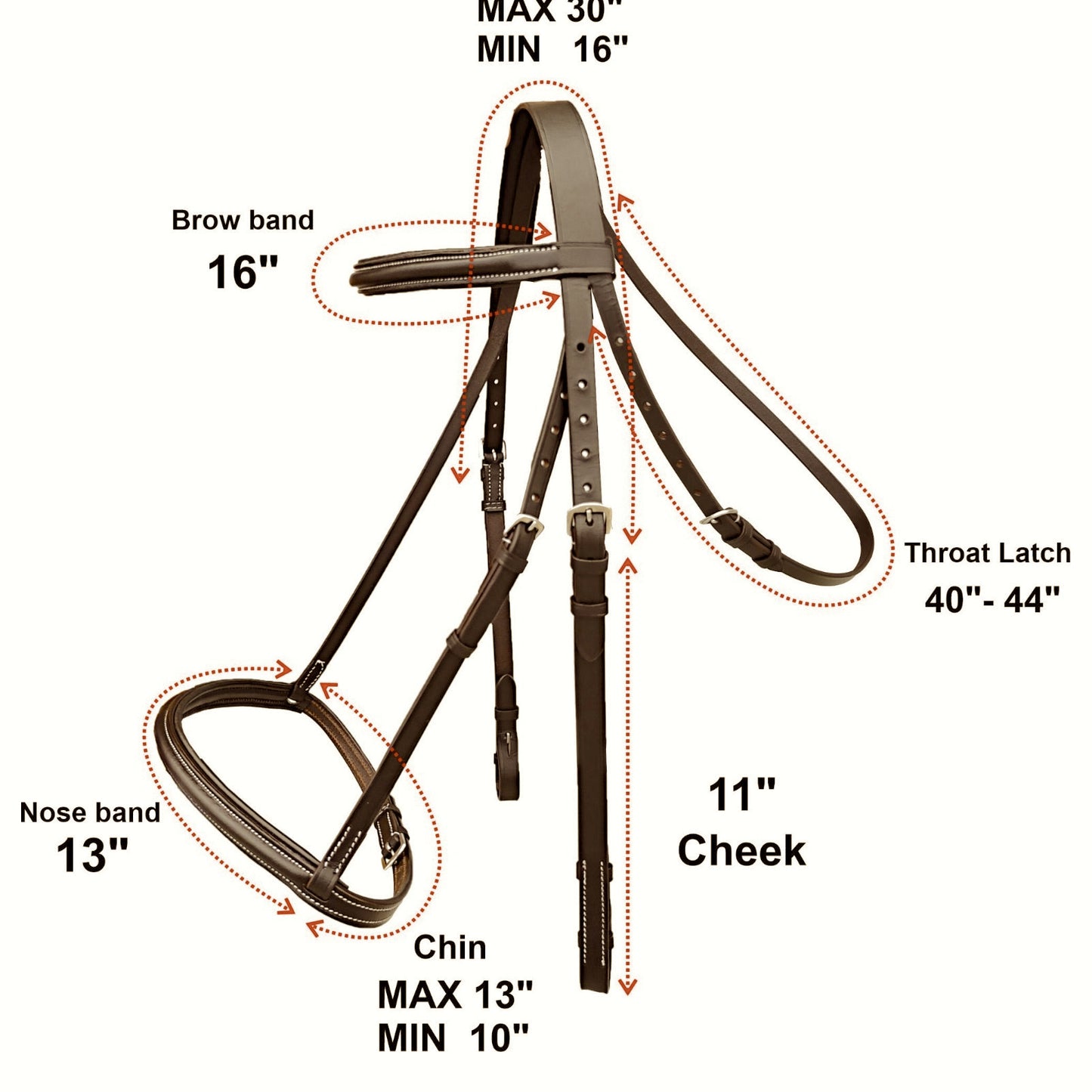 Majestic Ally Padded Raised English Bridle, Premium Leather, Matching Laced Reins