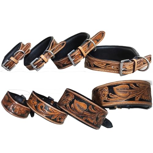 Majestic Ally Leather Dog Collar – Handcrafted, Padded, Antique Finish with Colored Accent – 4 Sizes