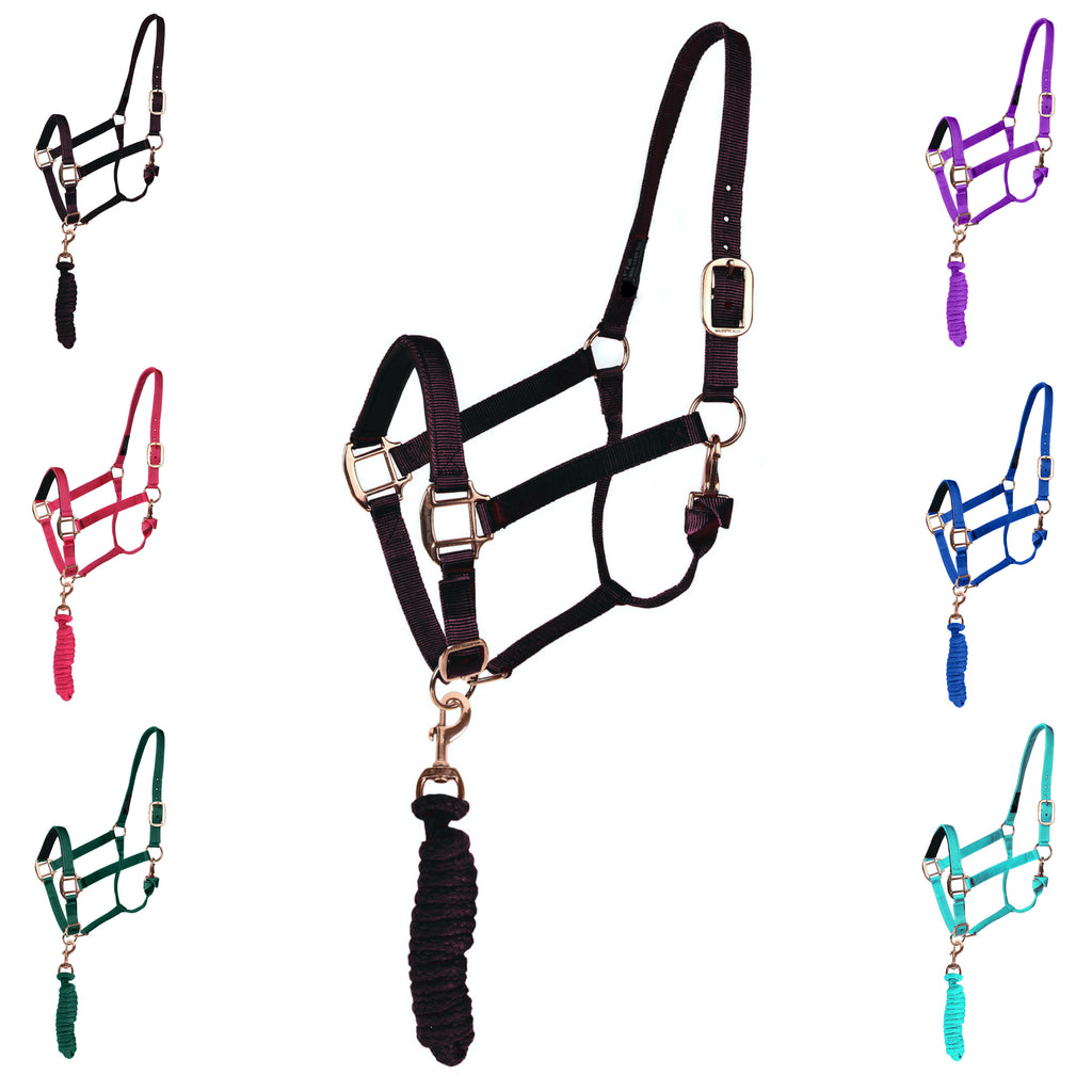 Majestic Ally Halter with Matching Lead Rope for Horses–Adjustable Chin and Crown–Rolled Throat Latch with Replaceable Snap–Padded Noseband–Heavy Duty Rose Gold Finish Hardware–Full
