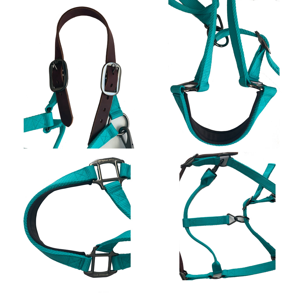 Majestic Ally Leather Halter with Matching Lead Rope for Horses – Leather Breakaway Crown - Adjustable Chin Strap – Rolled Throat Latch – Padded Noseband – Full