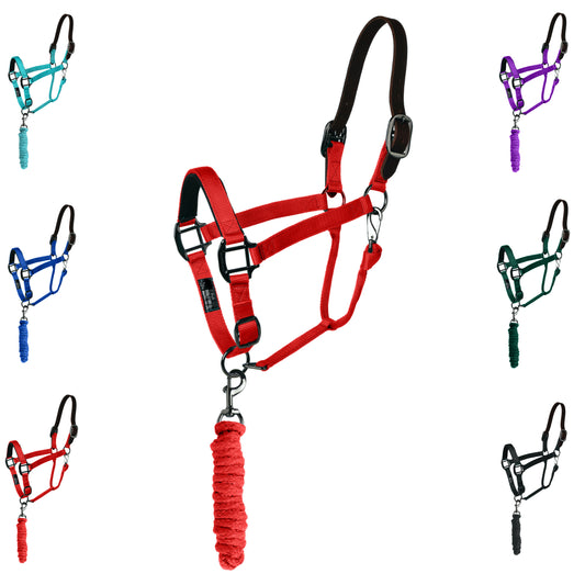 Majestic Ally Leather Halter with Matching Lead Rope for Horses – Leather Breakaway Crown - Adjustable Chin Strap – Rolled Throat Latch – Padded Noseband – Full