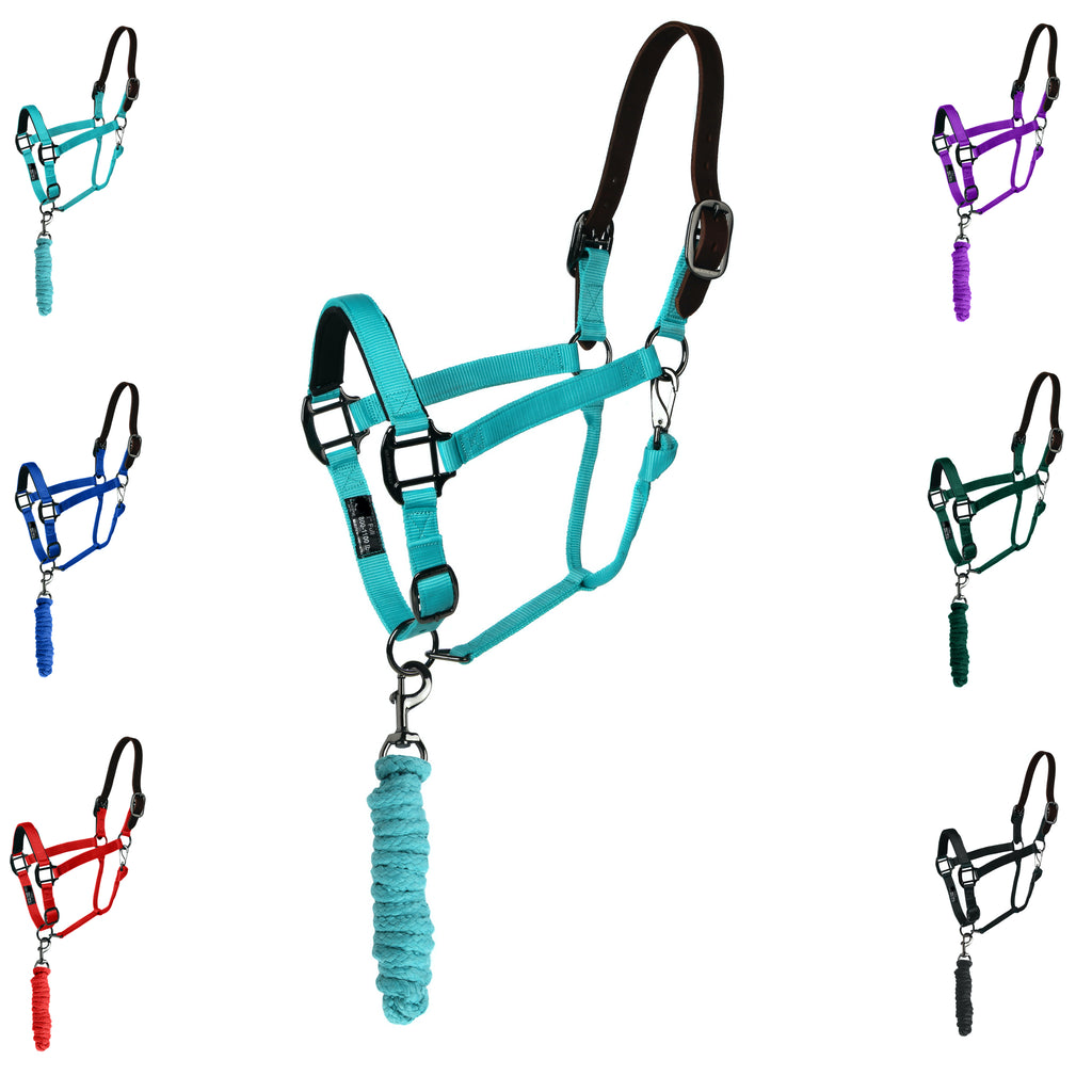 Majestic Ally Leather Halter with Matching Lead Rope for Horses – Leather Breakaway Crown - Adjustable Chin Strap – Rolled Throat Latch – Padded Noseband – Full