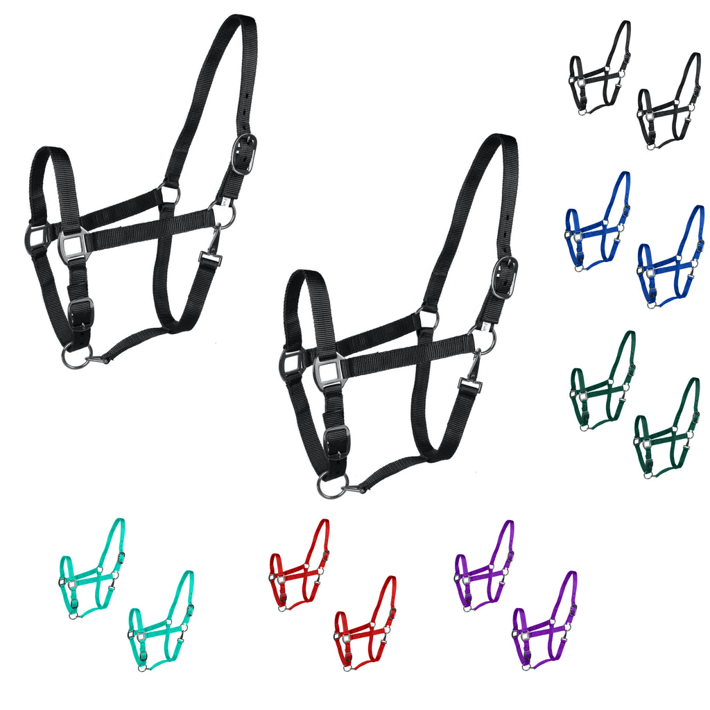 Majestic Ally Pack of 2 Adjustable Halter for Horses–Adjustable Chin and Crown– Sewn-in Throat Snap Hook- Heavy Duty Nickel Finish Hardware–Full