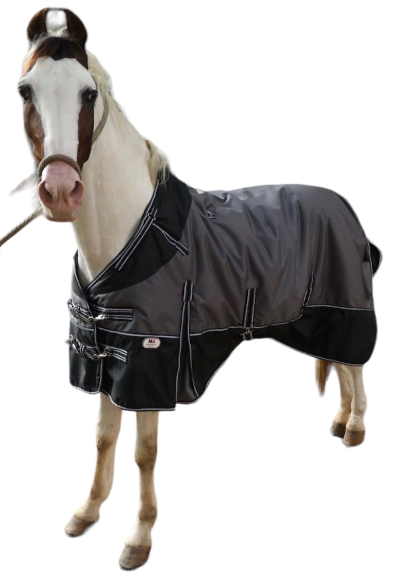 Majestic Ally 600 D Ripstop Nylon Horse Turnout Blanket Waterproof, Heavyweight Coverage, Rain and Weather Resistant for Fall, or Cold Winter Weather, 250 GSM Fill