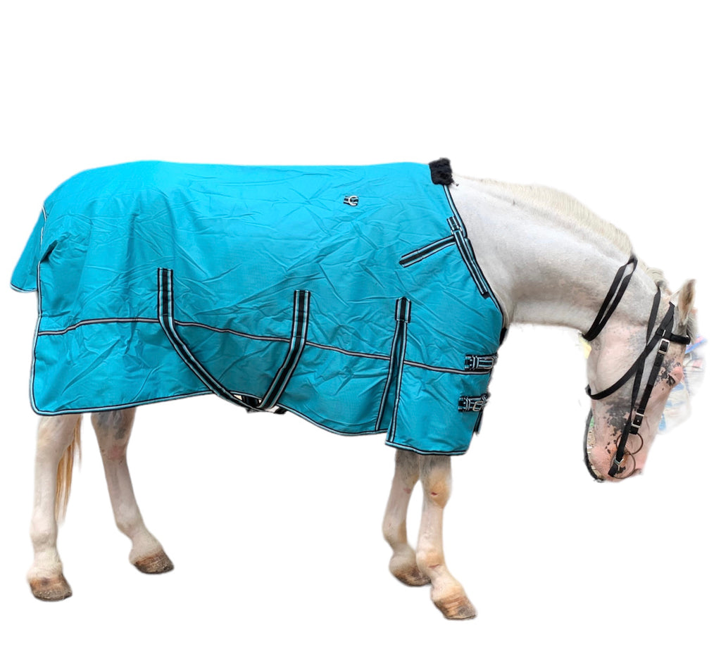 Majestic Ally 1200D Ripstop Horse Turnout Blanket 250 GSM Filling Turquoise-72"