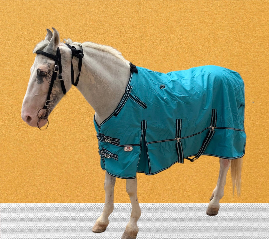 Majestic Ally 1200D Ripstop Horse Turnout Blanket 250 GSM Filling Turquoise-72"