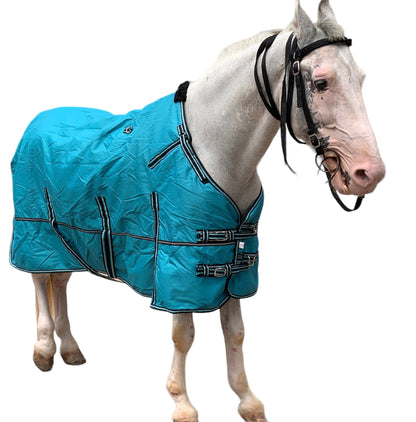 Majestic Ally 1200D Ripstop Horse Turnout Blanket 250 GSM Filling Turquoise-72"