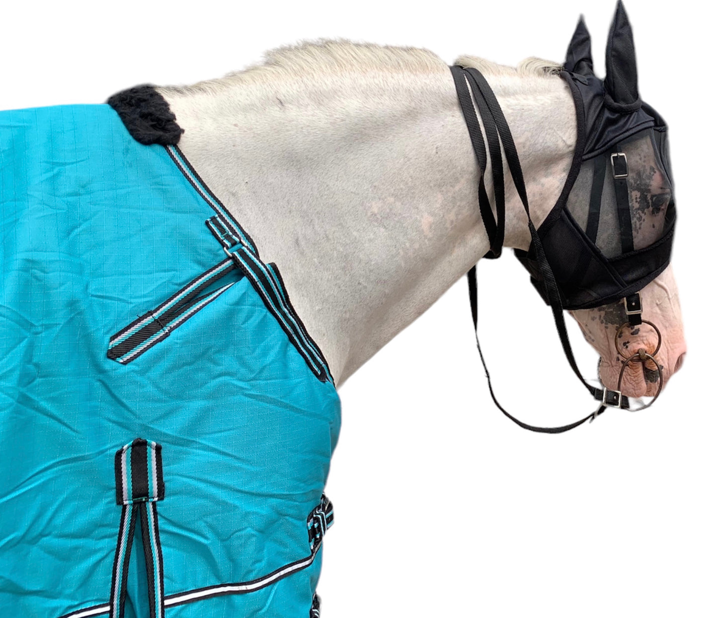 Majestic Ally 1200D Ripstop Horse Turnout Blanket 250 GSM Filling Turquoise-72"