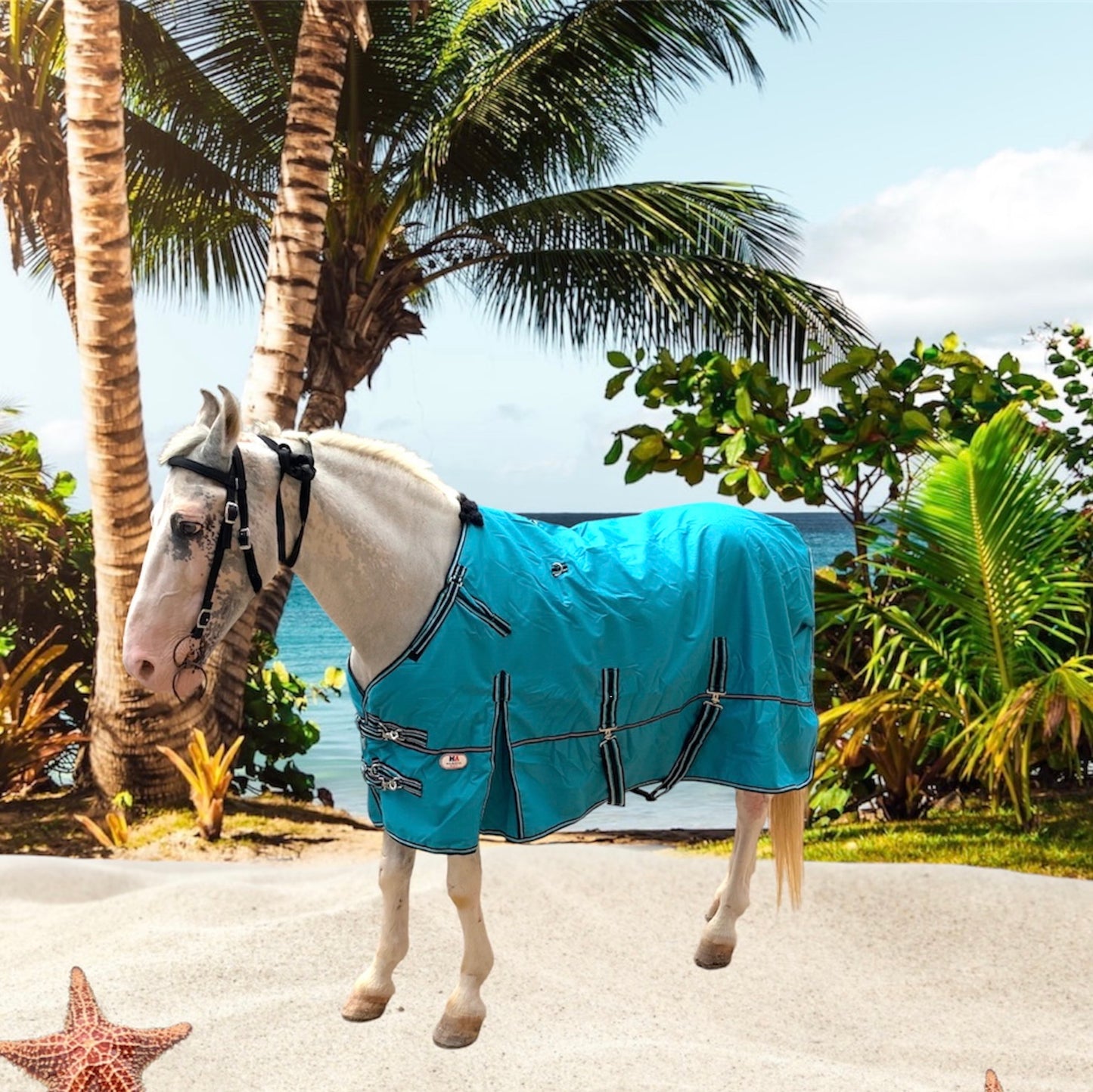 Majestic Ally 1200D Ripstop Horse Turnout Blanket 250 GSM Filling Turquoise-72"