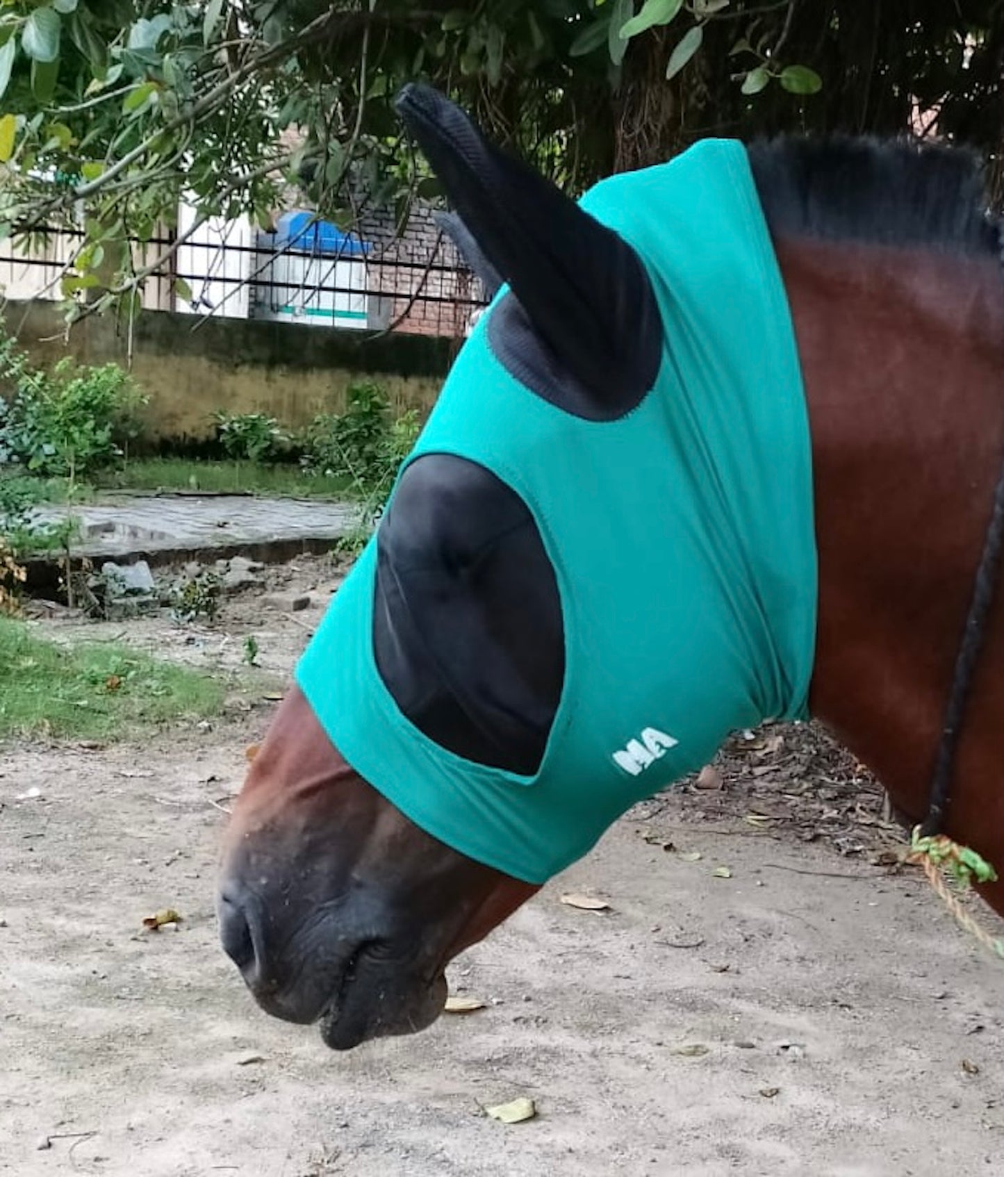 Majestic Ally Pack of 2 Lycra Horse Fly Mask with Nylon Mesh Eyes and Ears - Durable, Comfort Elasticity Fly Mask with Ears