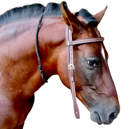 Majestic Ally Padded Leather Brow Band Headstall for Horses