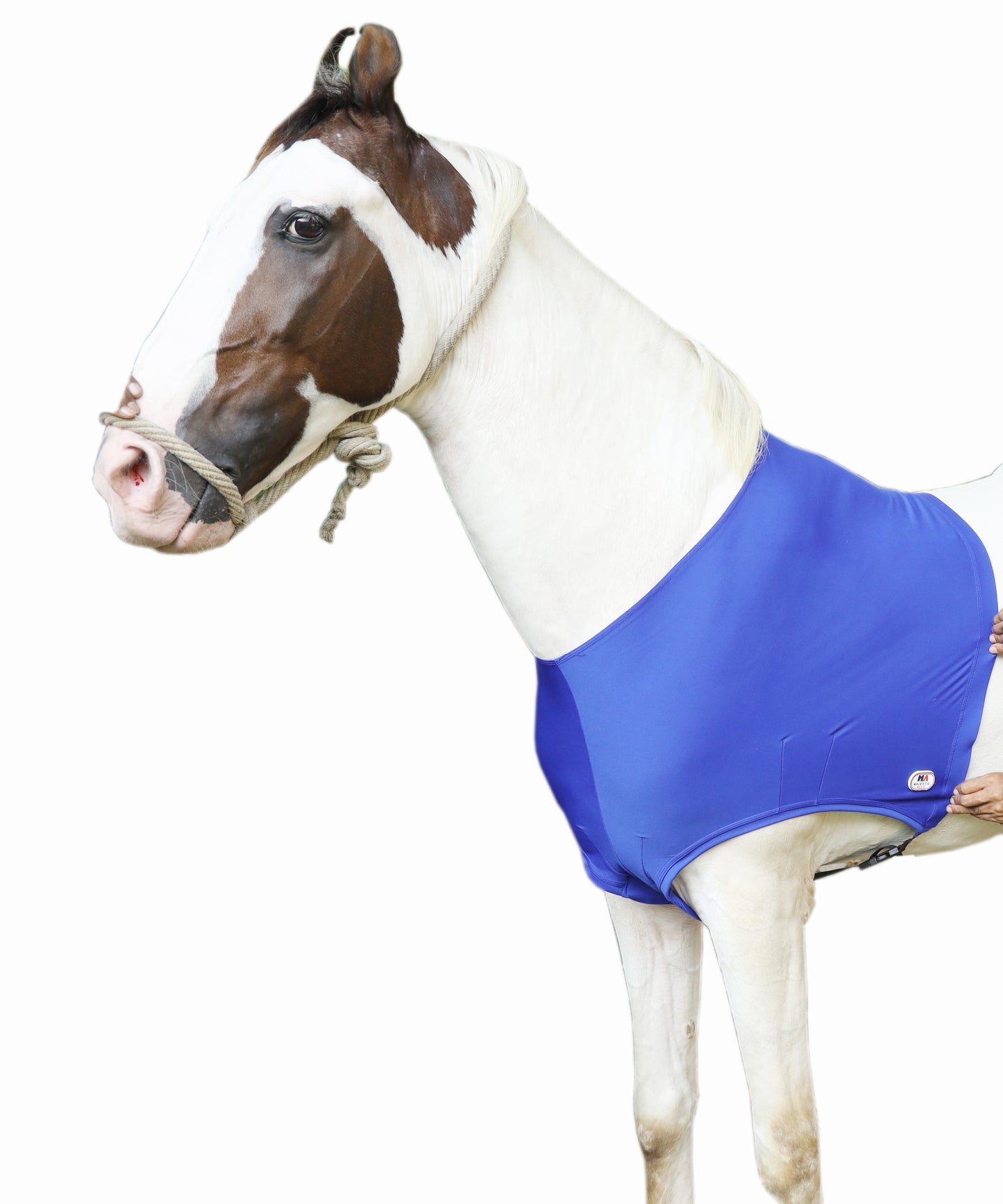 Majestic Ally Lycra Stretch Horse Shoulder Guard