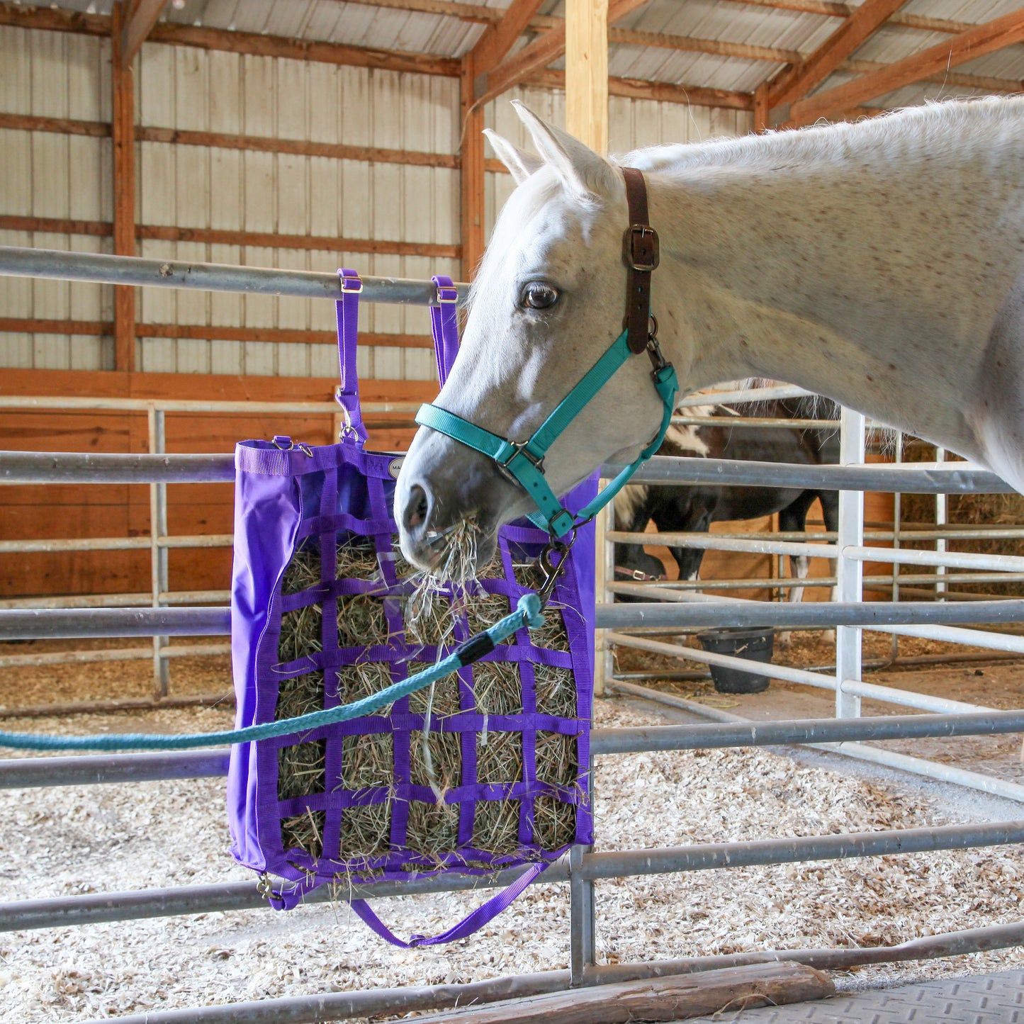 Majestic Ally Easy Feeder Hay Bag - One Side Open (3"x3" Hole) with 8 Feet Poly Rope for Horses and Livestocks with 06 months warranty