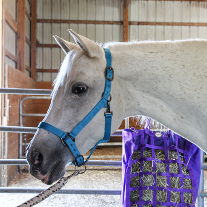 Majestic Ally Halter with Matching Lead Rope for Horses–Adjustable Chin and Crown–Rolled Throat Latch with Replaceable Snap–Padded Noseband–Heavy Duty Rose Gold Finish Hardware–Full