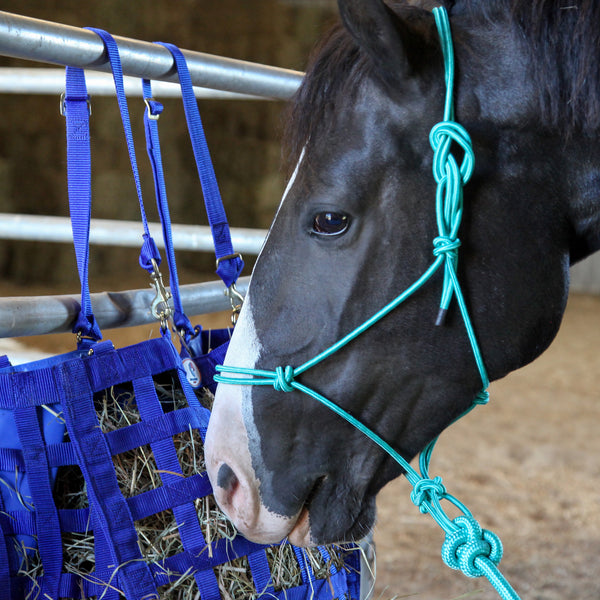 Majestic Ally 1/4" Rope 4 Knot Stiff Polyester Training Halter with 10’ Matching Lead Rope for Horses – Full