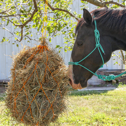 Majestic Ally 1/4" Rope 4 Knot Stiff Polyester Training Halter with 10’ Matching Lead Rope for Horses – Full