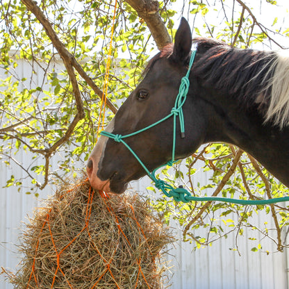 Majestic Ally 1/4" Rope 4 Knot Stiff Polyester Training Halter with 10’ Matching Lead Rope for Horses – Full