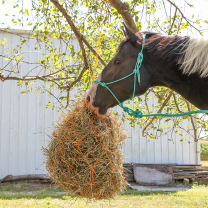 Majestic Ally 1/4" Rope 4 Knot Stiff Polyester Training Halter with 10’ Matching Lead Rope for Horses – Full