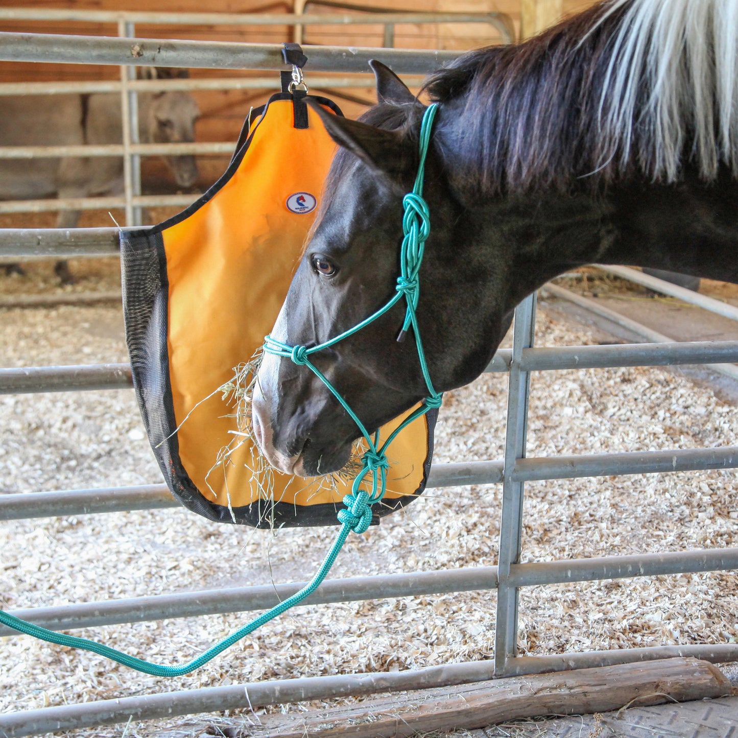 Majestic Ally 1/4" Rope 4 Knot Stiff Polyester Training Halter with 10’ Matching Lead Rope for Horses – Full