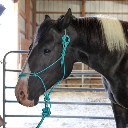 Majestic Ally 1/4" Rope 4 Knot Stiff Polyester Training Halter with 10’ Matching Lead Rope for Horses – Full