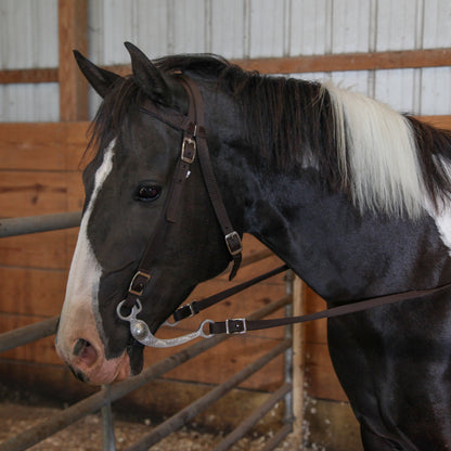 Majestic Ally Nylon Padded Browband Headstall with Reins for Horses