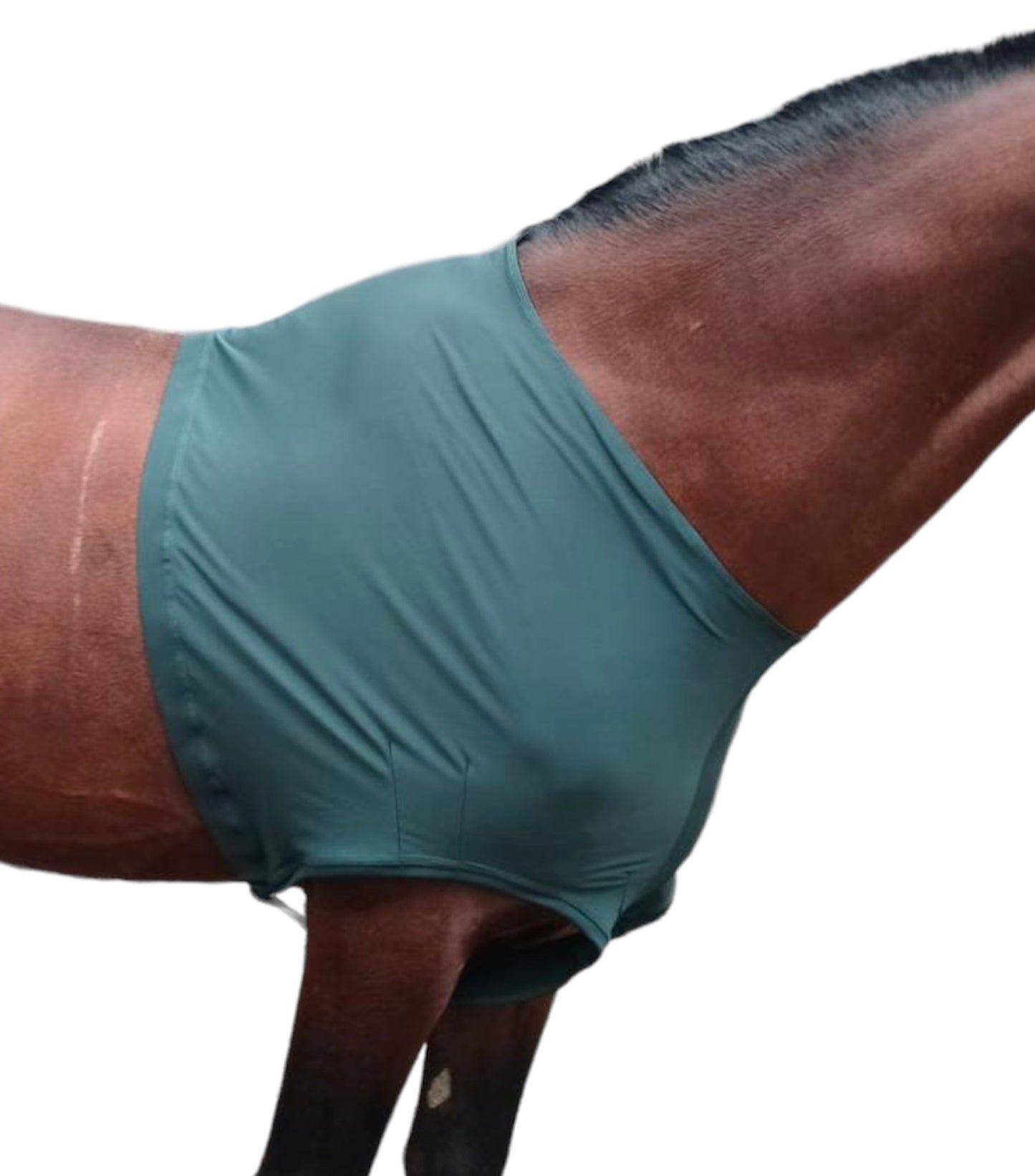 Majestic Ally Lycra Stretch Horse Shoulder Guard